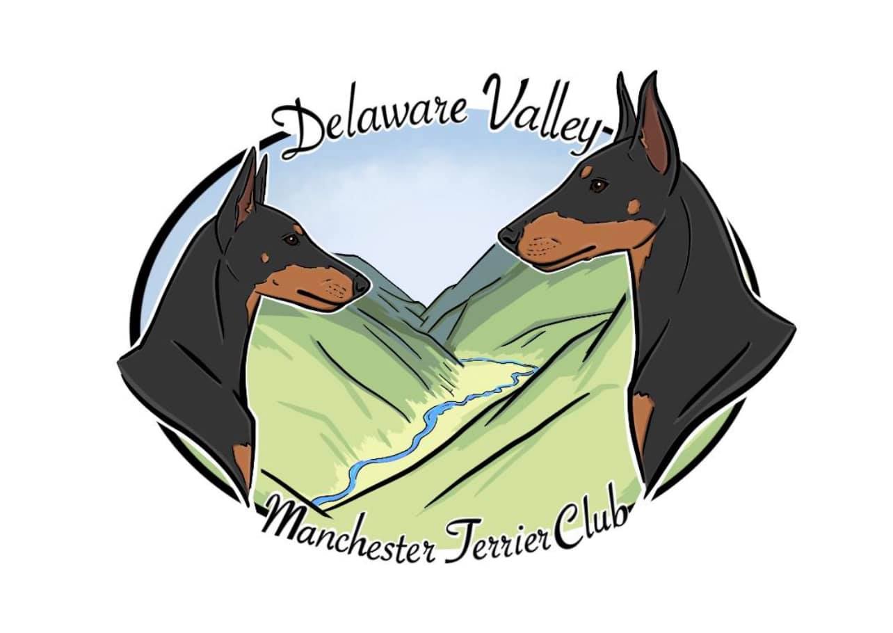 Full Color Logo