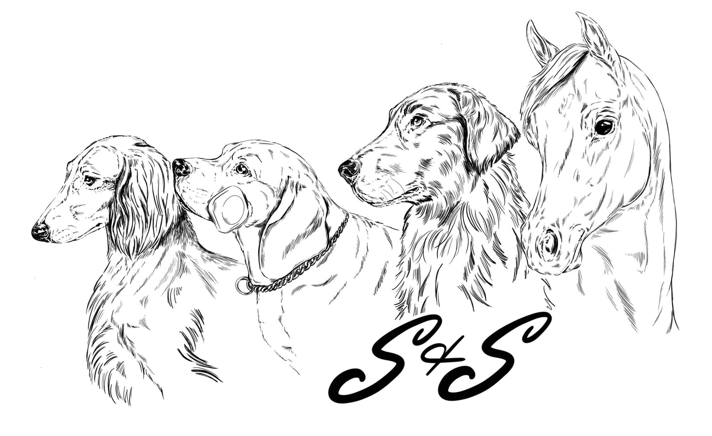 Digital Portrait Sketch (Line Art)