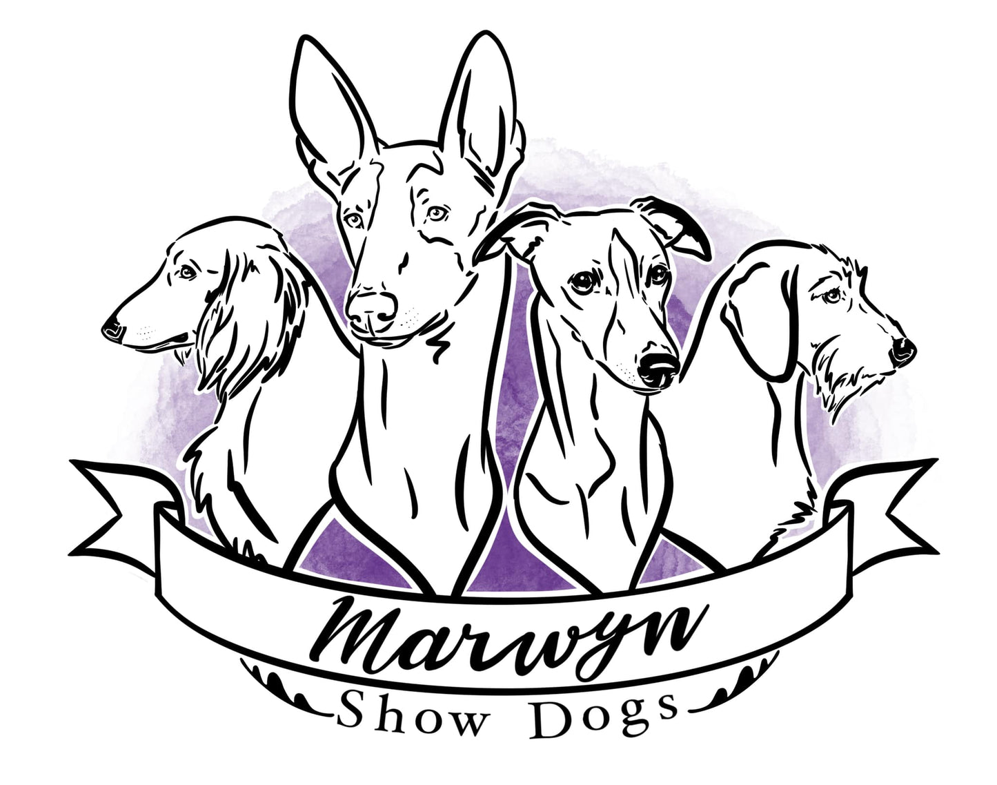 Limited Color Logo