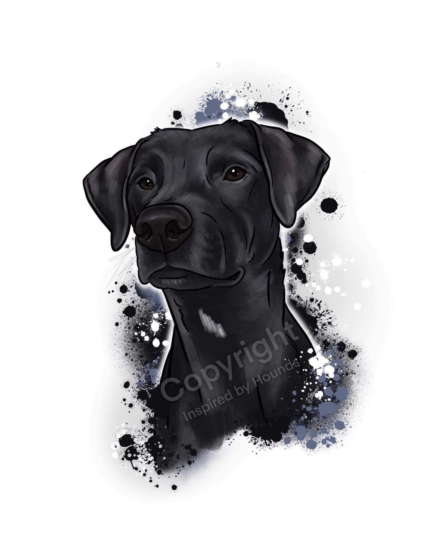 Digital Portraits (Color)