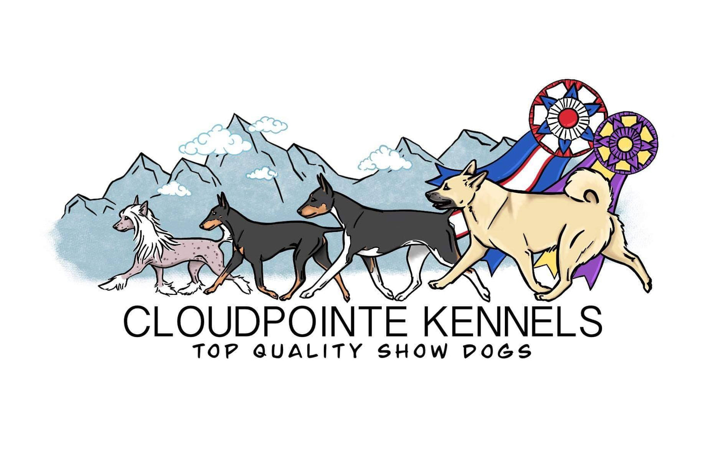 Full Color Logo