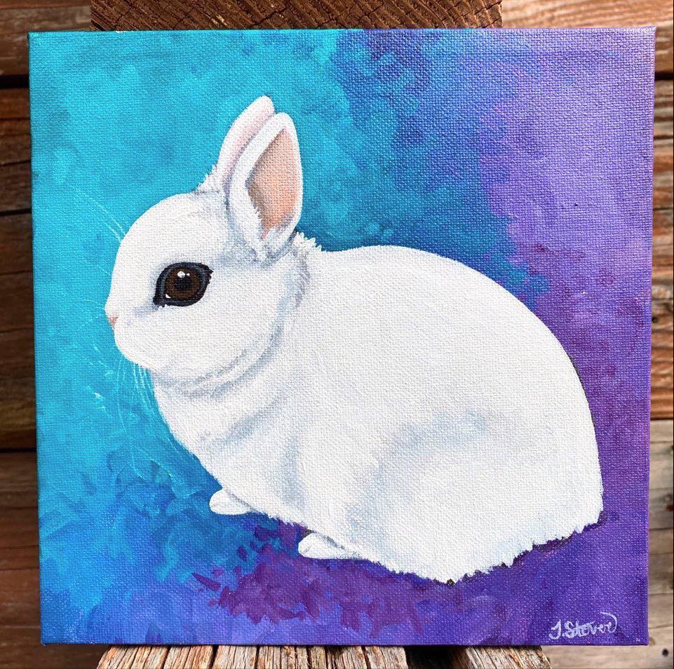 CUSTOM PAINTED Pet Portraits - Small Sizes