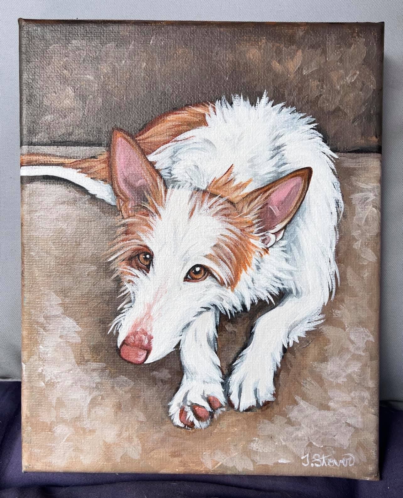 CUSTOM PAINTED Pet Portrait- Large Sizes
