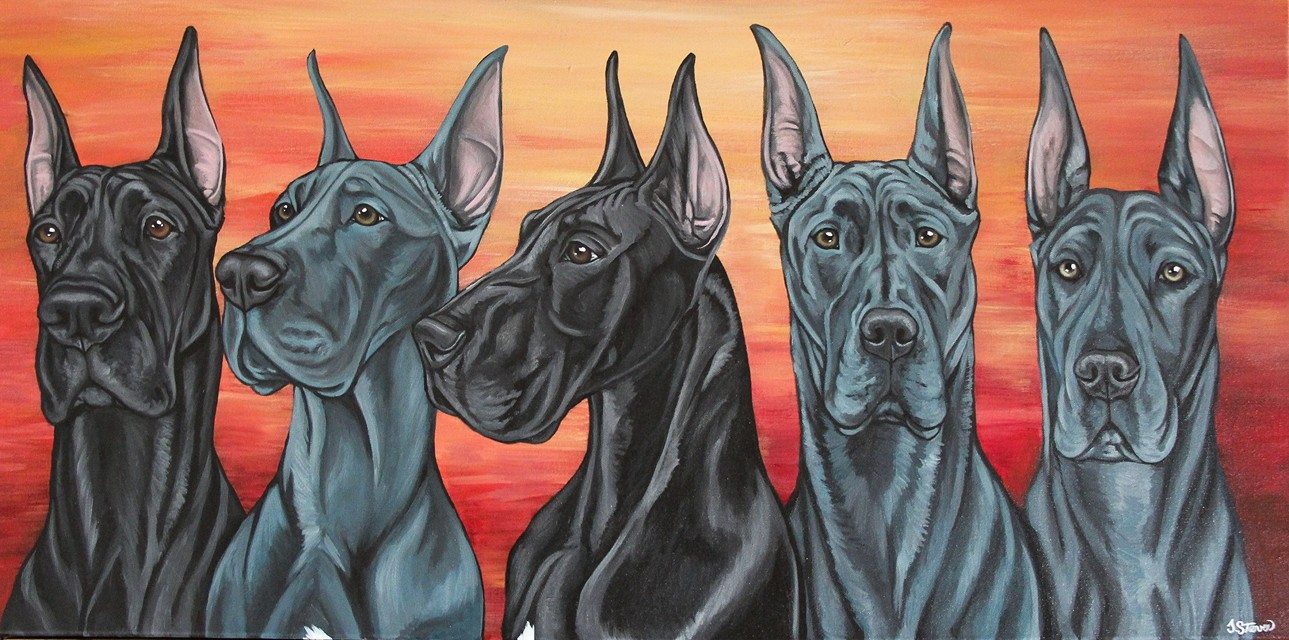 CUSTOM PAINTED Pet Portrait- Extra Large Sizes