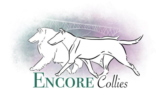 Limited Color Logo