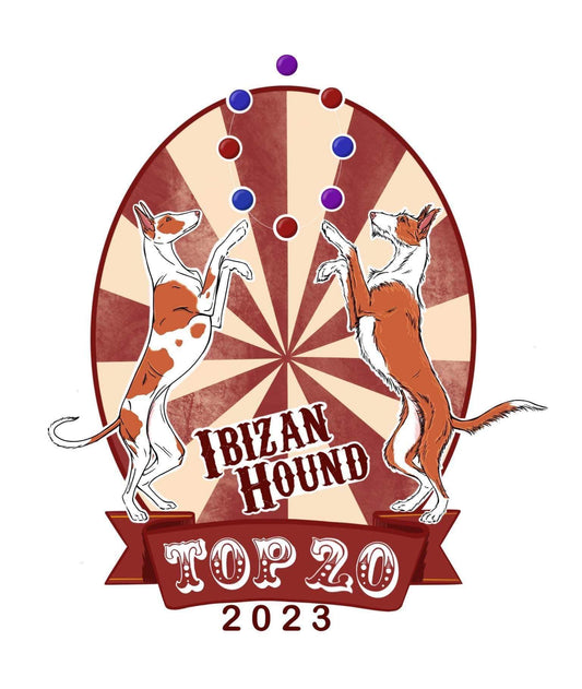 Full Color Logo