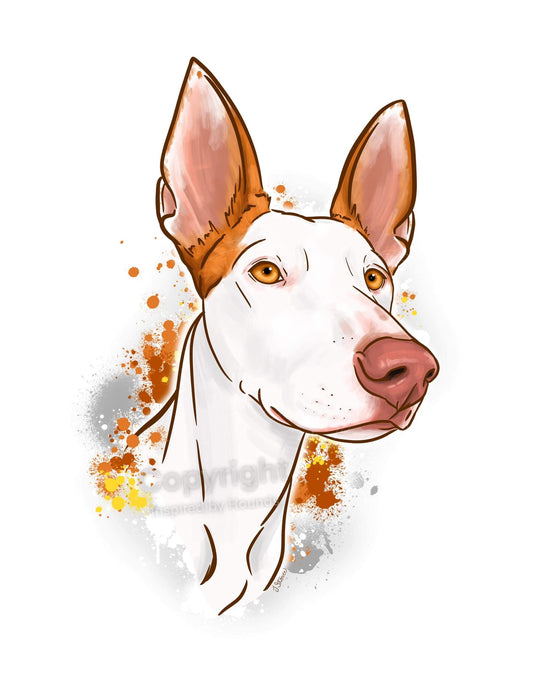 Digital Portraits (Color)
