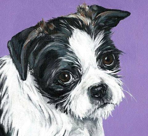 CUSTOM PAINTED Pet Portrait- Extra Large Sizes