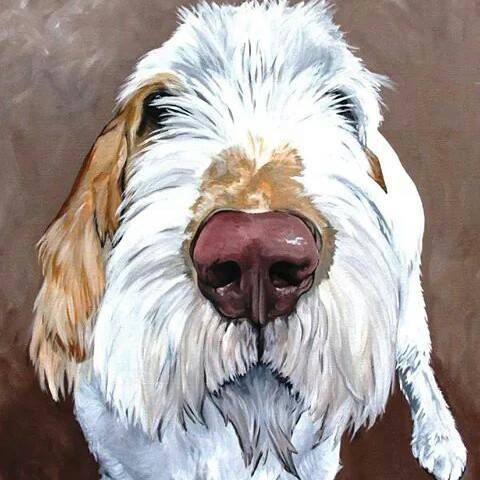 CUSTOM PAINTED Pet Portrait- Extra Large Sizes